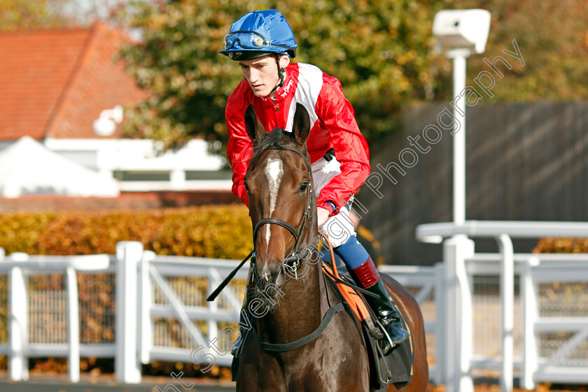 Sub-Rosa-0002 
 SUB ROSA (David Egan)
Newmarket 19 Oct 2022 - Pic Steven Cargill / Racingfotos.com