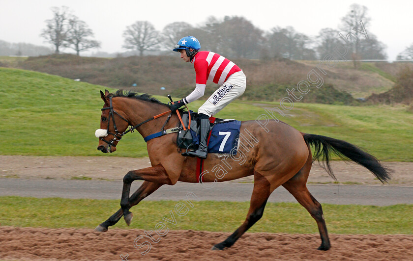 Lamanver-Storm-0001 
 LAMANVER STORM (Tommie M O'Brien)
Chepstow 7 Dec 2019 - Pic Steven Cargill / Racingfotos.com