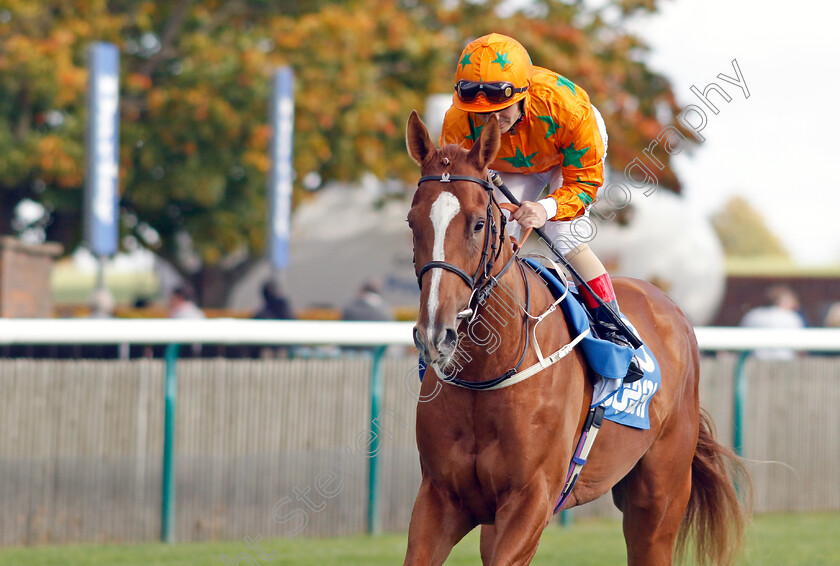 Tenerife-Sunshine-0001 
 TENERIFE SUNSHINE (Andrea Atzeni)
Newmarket 8 Oct 2022 - Pic Steven Cargill / Racingfotos.com