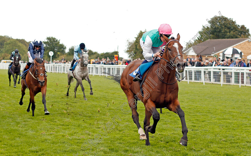 Opinionate-0003 
 OPINIONATE (Jim Crowley) wins The Lester Brunt Wealth Management Handicap Salisbury 7 Sep 2017 - Pic Steven Cargill / Racingfotos.com