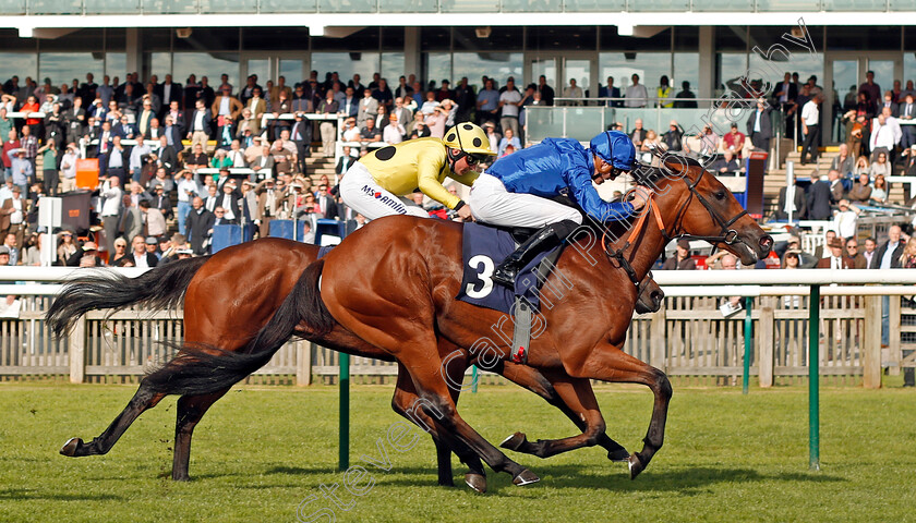 Rastrelli-0002 
 RASTRELLI (James Doyle) beats GLOBAL CONQUEROR (farside) in The newmarketracecourses.co.uk Nursery Newmarket 28 Sep 2017 - Pic Steven Cargill / Racingfotos.com