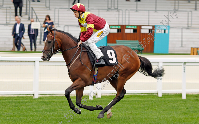 Spirit-Of-Farhh-0001 
 SPIRIT OF FARHH (Charles Bishop)
Ascot 6 Sep 2024 - Pic Steven Cargill / Racingfotos.com