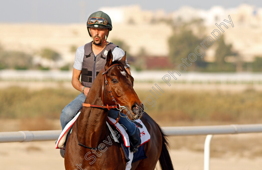 Magny-Cours-0005 
 MAGNY COURS exercising in preparation for Friday's Bahrain International Trophy
Sakhir Racecourse, Bahrain 17 Nov 2021 - Pic Steven Cargill / Racingfotos.com