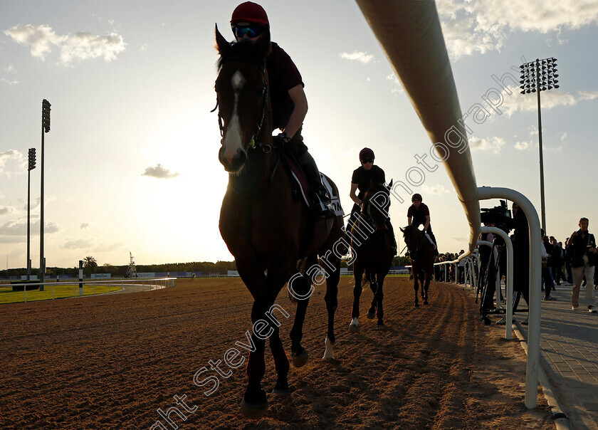 Broome-0001 
 BROOME training for the Dubai Gold Cup
Meydan, Dubai, 23 Mar 2023 - Pic Steven Cargill / Racingfotos.com