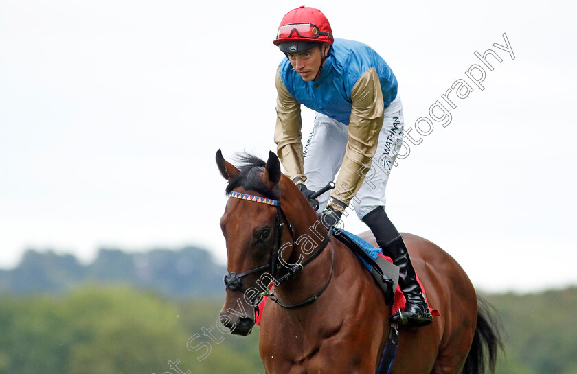 Dunamase-0002 
 DUNAMASE (James Doyle)
Sandown 8 Aug 2024 - Pic Steven Cargill / Racingfotos.com