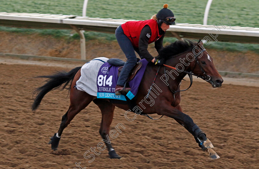 New-Century-0001 
 NEW CENTURY training for the Breeders' Cup Juvenile Turf
Del Mar USA 31 Oct 2024 - Pic Steven Cargill / Racingfotos.com