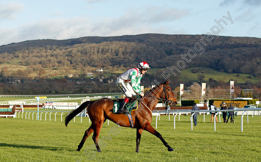 Vienna-Court-0002 
 VIENNA COURT (Sam Twiston-Davies) wins The CF Roberts Electrical & Mechanical Services Mares Handicap Chase
Cheltenham 10 Dec 2021 - Pic Steven Cargill / Racingfotos.com