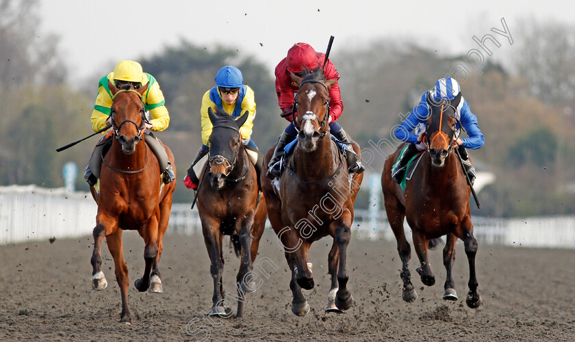 Kings-Shield-0005 
 KINGS SHIELD (Oisin Murphy) beats ONE COOL DADDY (left) and RAJAAM (right) in The Betfred Like Us On Facebook Stakes Kempton 7 Apr 2018 - Pic Steven Cargill / Racingfotos.com