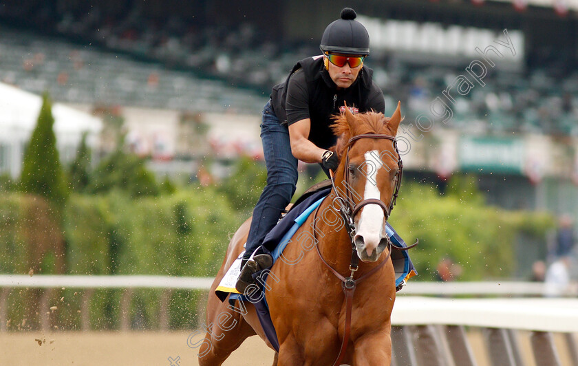 Justify-0011 
 JUSTIFY (Martine Garcia) exercising in preparation for The Belmont Stakes
Belmont Park USA 7 Jun 2018 - Pic Steven Cargill / Racingfotos.com