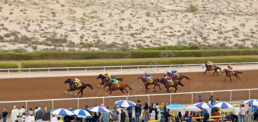 Ode-To-Autumn-0004 
 ODE TO AUTUMN (Pat Cosgrave) wins The Shadwell Handicap
Jebel Ali 24 Jan 2020 - Pic Steven Cargill / Racingfotos.com