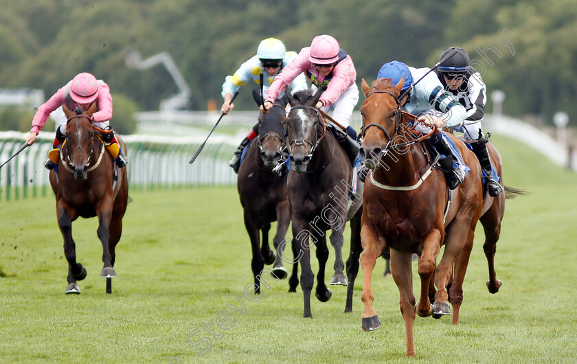 Belated-Breath-0001 
 BELATED BREATH (Oisin Murphy) wins The Bill Garnett Memorial Fillies Handicap
Salisbury 16 Aug 2018 - Pic Steven Cargill / Racingfotos.com