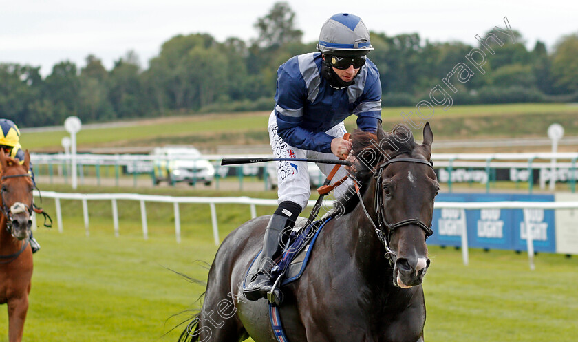 Stopnsearch-0005 
 STOPNSEARCH (William Carson) wins The Read Andrew Balding On Betway Insider Handicap Div1
Lingfield 7 Sep 2020 - Pic Steven Cargill / Racingfotos.com