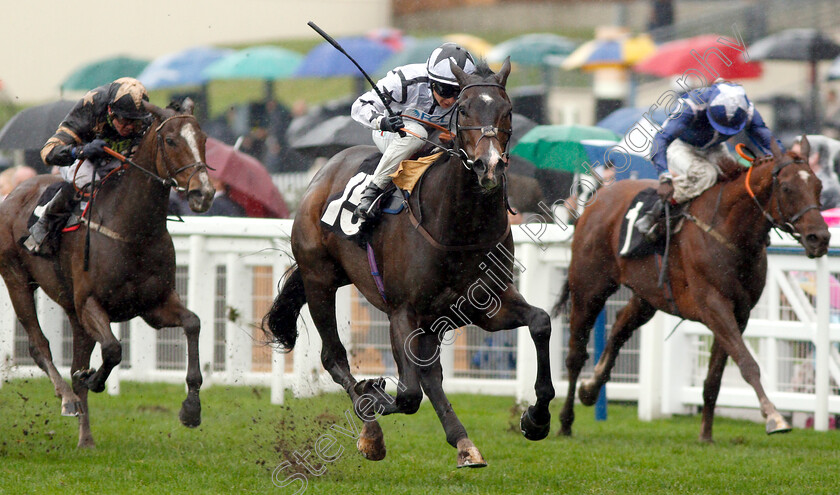 Raising-Sand-0004 
 RAISING SAND (Nicola Currie) wins The Bet With Ascot Challenge Cup Handicap
Ascot 6 Oct 2018 - Pic Steven Cargill / Racingfotos.com