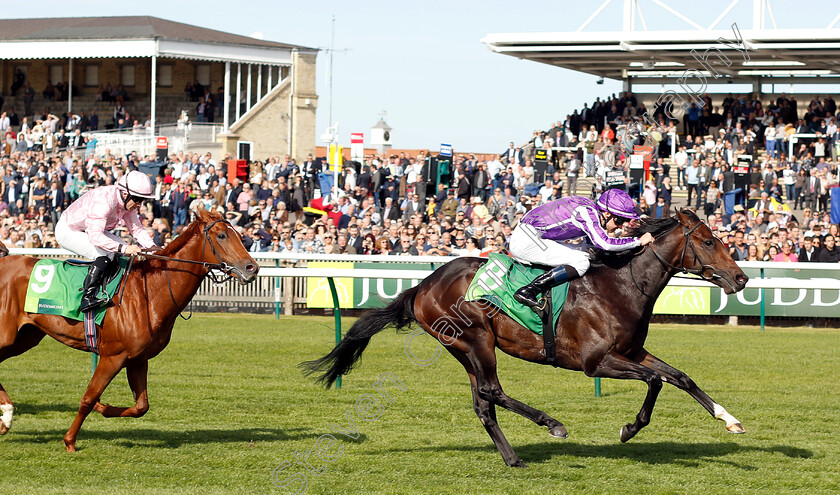 Mohawk-0005 
 MOHAWK (Donnacha O'Brien) beats SYDNEY OPERA HOUSE (left) in The Juddmonte Royal Lodge Stakes
Newmarket 29 Sep 2018 - Pic Steven Cargill / Racingfotos.com