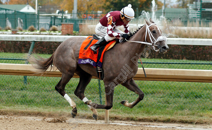 Jaywalk-0005 
 JAYWALK (Joel Rosario) wins The Breeders' Cup Juvenile Fillies
Churchill Downs 2 Nov 2018 - Pic Steven Cargill / Racingfotos.com