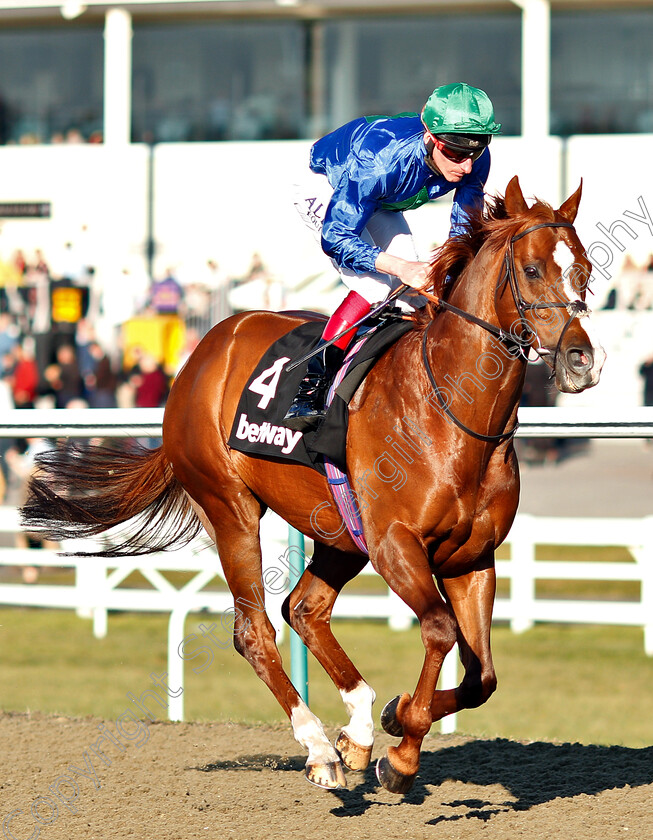 Hathal-0001 
 HATHAL (Adam Kirby)
Lingfield 23 Feb 2019 - Pic Steven Cargill / Racingfotos.com