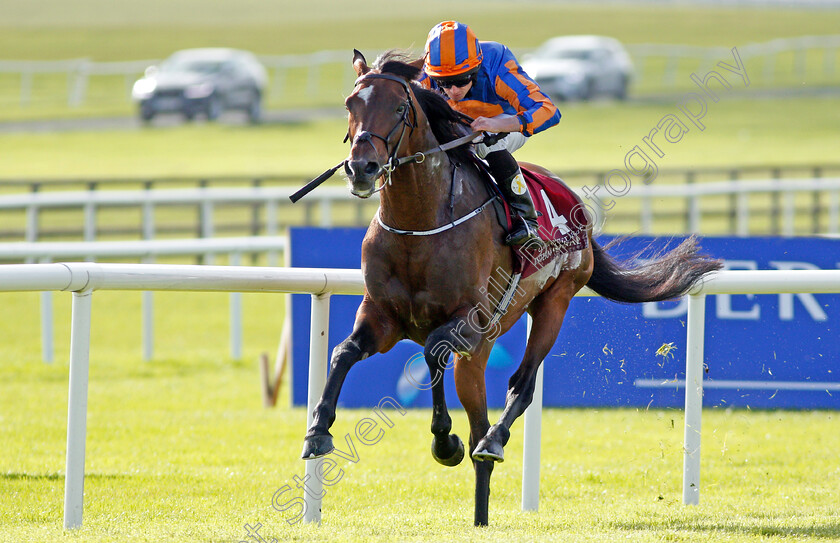 Order-Of-St-George-0003 
 ORDER OF ST GEORGE (Ryan Moore) wins The Comer Group International Irish St Leger Curragh 10 Sep 2017 - Pic Steven Cargill / Racingfotos.com