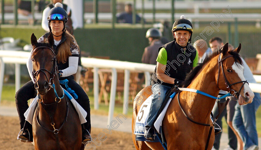 Bankit-and-Snapper-Sinclair 
 BANKIT (left) and SNAPPER SINCLAIR (right) training for the Godolphin Mile
Meydan, Dubai, 23 Mar 2022 - Pic Steven Cargill / Racingfotos.com