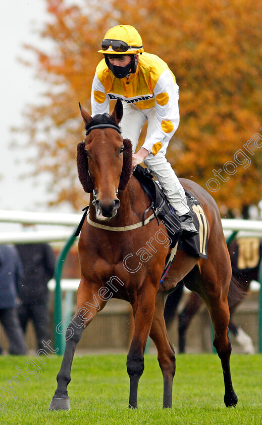 Woo-Woo-0001 
 WOO WOO (Darragh Keenan)
Newmarket 21 Oct 2020 - Pic Steven Cargill / Racingfotos.com