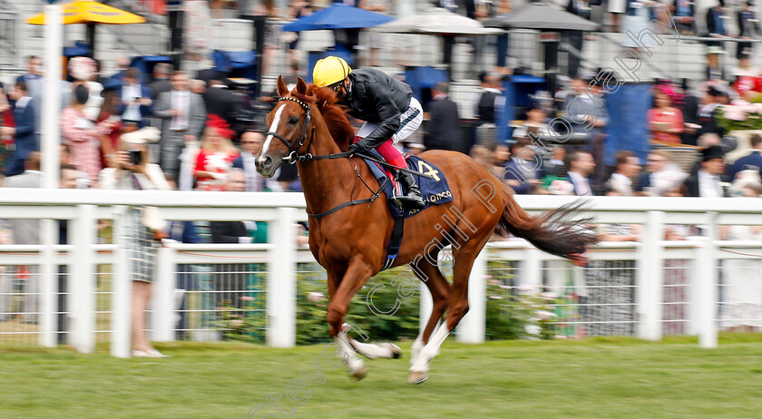 Stradivarius-0001 
 STRADIVARIUS (Frankie Dettori)
Ascot 17 Jun 2021 - Pic Steven Cargill / Racingfotos.com