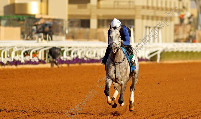 Saudi-Crown-0002 
 SAUDI CROWN training for The Saudi Cup
King Abdulaziz Racecourse, Saudi Arabia 21 Feb 2024 - Pic Steven Cargill / Racingfotos.com