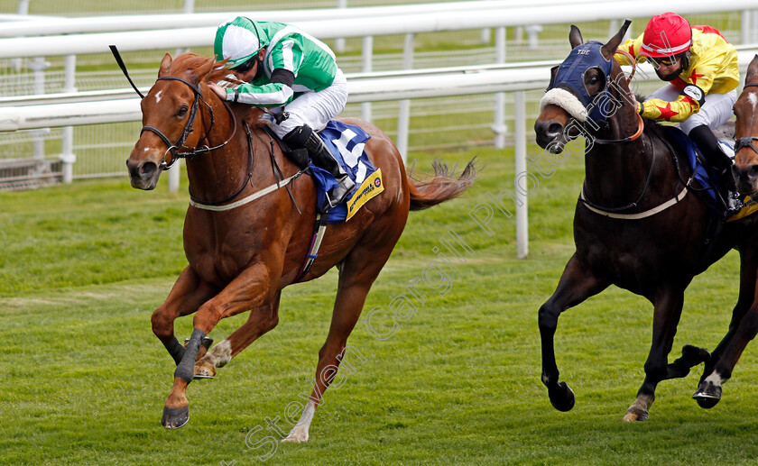 Mr-Lupton-0003 
 MR LUPTON (Paul Hanagan) beats DANZAN (right) in The Churchill Tyres Handicap
York 12 May 2021 - Pic Steven Cargill / Racingfotos.com