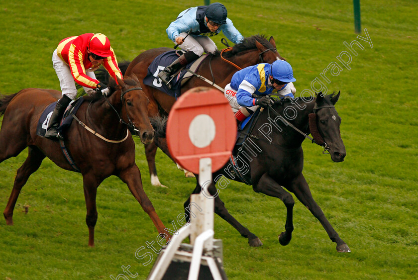 Harlequin-Rock-0005 
 HARLEQUIN ROCK (Franny Norton) beats HARRY BEAU (left) in The Great Yarmouth & Caister Golf Club Mechants Gallop Handicap Div1 Yarmouth 16 Oct 2017 - Pic Steven Cargill / Racingfotos.com