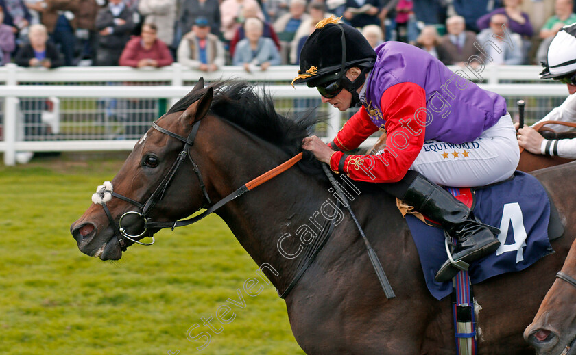 Swiftsure-0005 
 SWIFTSURE (Ryan Moore) wins The Parklands Leisure Holiday Distributors Handicap Yarmouth 20 Sep 2017 - Pic Steven Cargill / Racingfotos.com