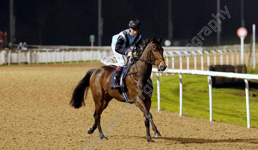 Astral-Sea-0001 
 ASTRAL SEA (Cieren Fallon)
Wolverhampton 20 Dec 2024 - Pic Steven Cargill / Racingfotos.com