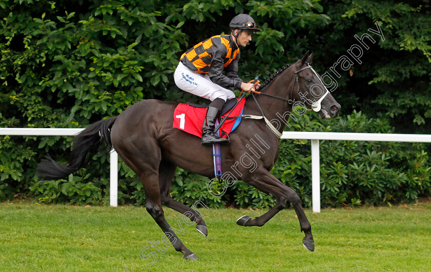 Fast-Steps-0001 
 FAST STEPS (Patrick Millman)
Sandown 8 Aug 2024 - Pic Steven Cargill / Racingfotos.com