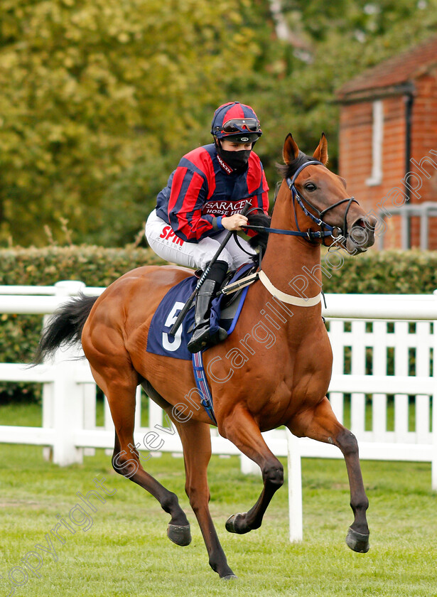 Hot-Date-0001 
 HOT DATE (Georgia Dobie)
Lingfield 7 Sep 2020 - Pic Steven Cargill / Racingfotos.com