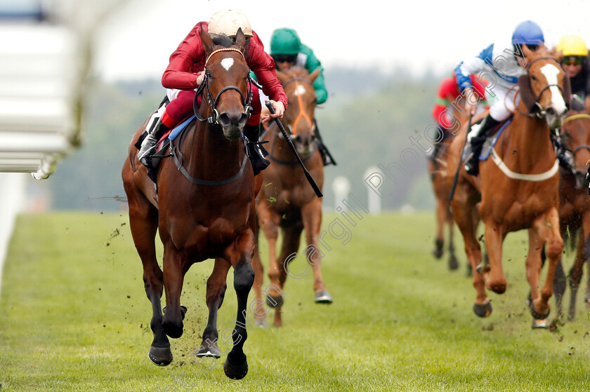 Muchly-0006 
 MUCHLY (Frankie Dettori) wins The Naas Racecourse Royal Ascot Trials Day British EBF Fillies Stakes
Ascot 1 May 2019 - Pic Steven Cargill / Racingfotos.com