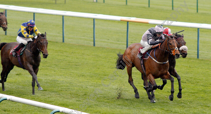 Lord-Of-The-Rock-0001 
 LORD OF THE ROCK (Graham Lee) wins The Betway Stubshaw Cross Handicap
Haydock 27 Apr 2019 - Pic Steven Cargill / Racingfotos.com