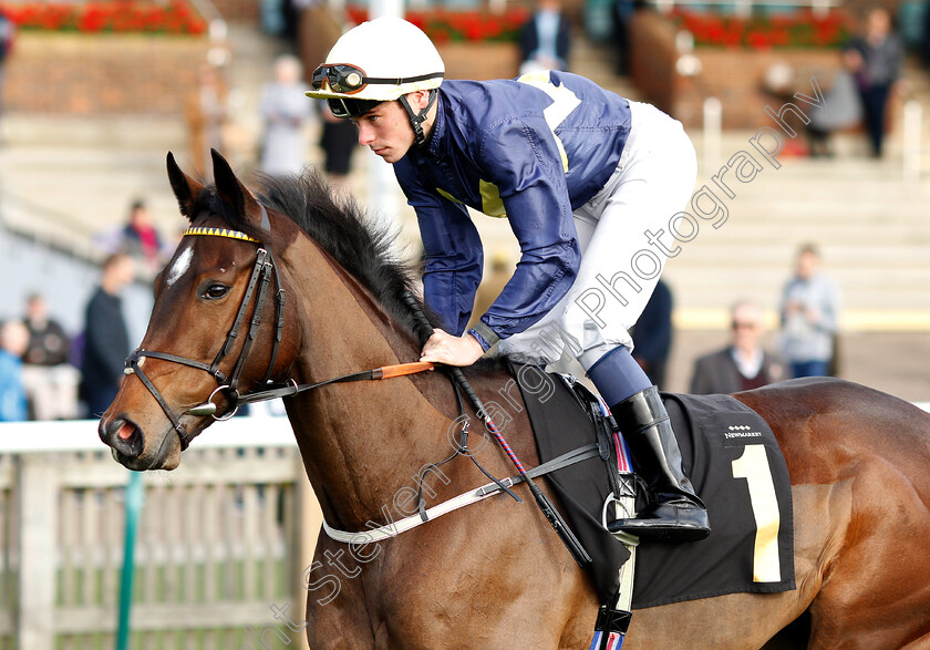 Chop-Chop-0002 
 CHOP CHOP (Kieran Shoemark)
Newmarket 24 Oct 2018 - Pic Steven Cargill / Racingfotos.com