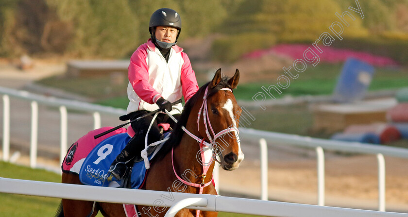 Resistencia-0001 
 RESISTENCIA training for The 1351 Turf Sprint
King Abdulaziz Racecourse, Kingdom of Saudi Arabia, 22 Feb 2023 - Pic Steven Cargill / Racingfotos.com