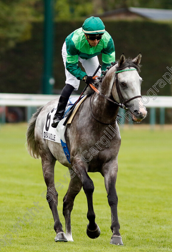 Agador-0001 
 AGADOR (Cristian Demuro)
Deauville 3 Aug 2024 - Pic Steven Cargill / Racingfotos.com