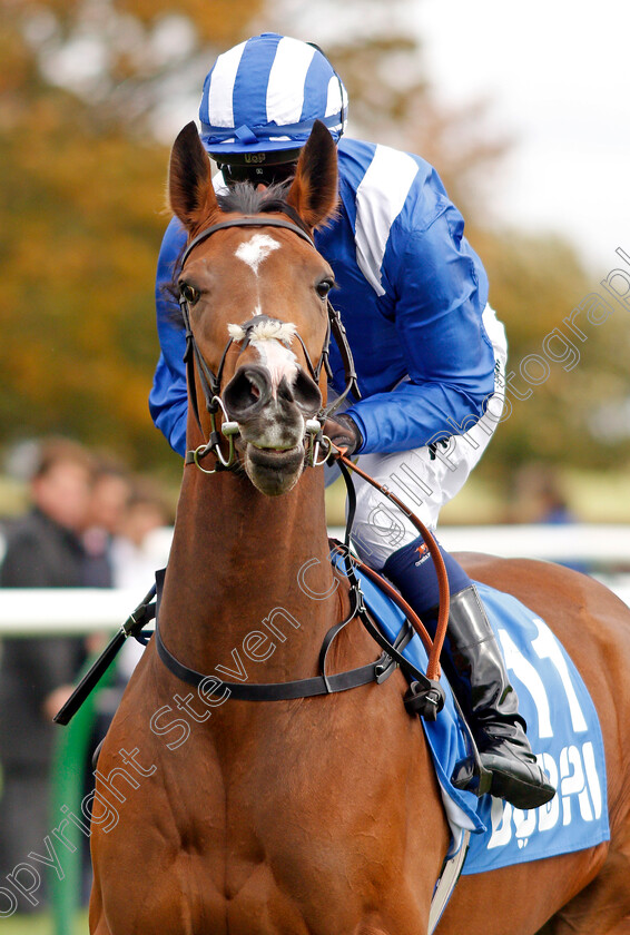 Jamaheery-0002 
 JAMAHEERY (Jim Crowley)
Newmarket 11 Oct 2019 - Pic Steven Cargill / Racingfotos.com