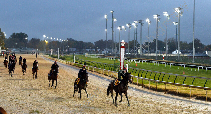 Aidan-O Brien-team-0002 
 The Aidan O'Brien team exercising ahead of The Breeders' Cup, including MENDELSSOHN in 2nd 
Churchill Downs 1 Nov 2018 - Pic Steven Cargill / Racingfotos.com