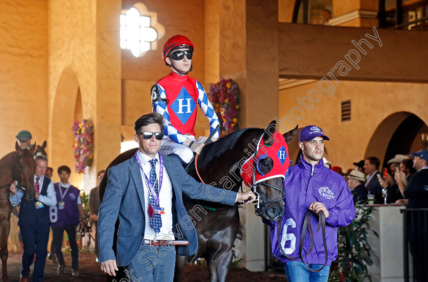 Jet-Sweep-Joe-0001 
 JET SWEEP JOE (Billy Loughnane)
Del Mar 1 Nov 2024 - Pic Steven Cargill / Racingfotos.com