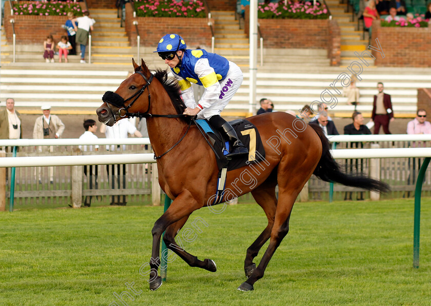 Placo-0002 
 PLACO (Kieran Shoemark)
Newmarket 7 Oct 2023 - Pic Steven Cargill / Racingfotos.com