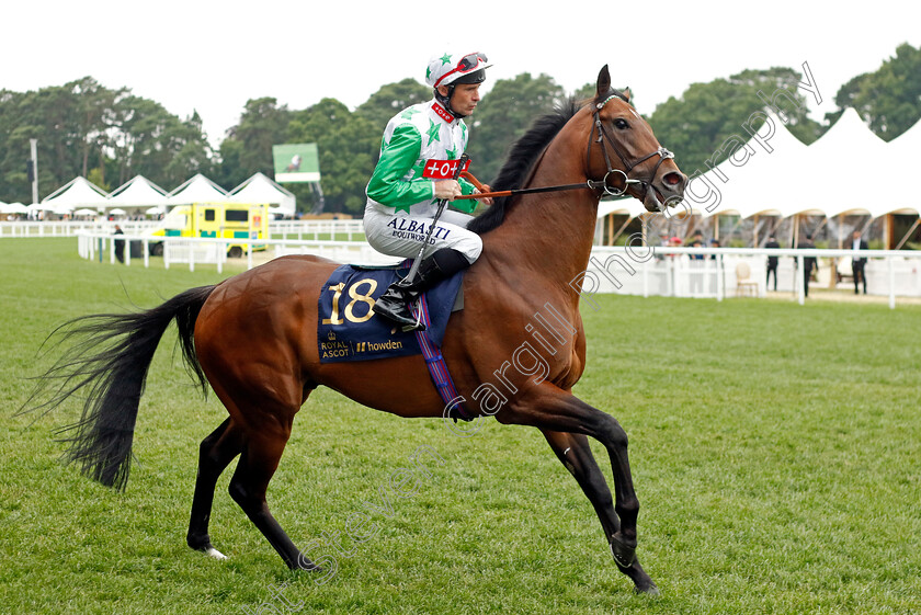 Run-To-Freedom 
 RUN TO FREEDOM (Dane O'Neill)
Royal Ascot 18 Jun 2022 - Pic Steven Cargill / Racingfotos.com