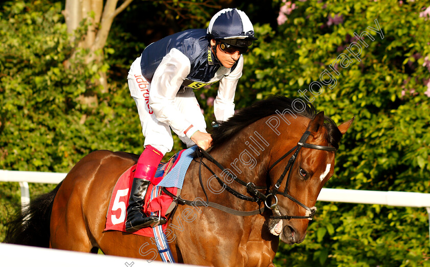 Albert-Finney-0001 
 ALBERT FINNEY (Frankie Dettori)
Sandown 30 May 2019 - Pic Steven Cargill / Racingfotos.com