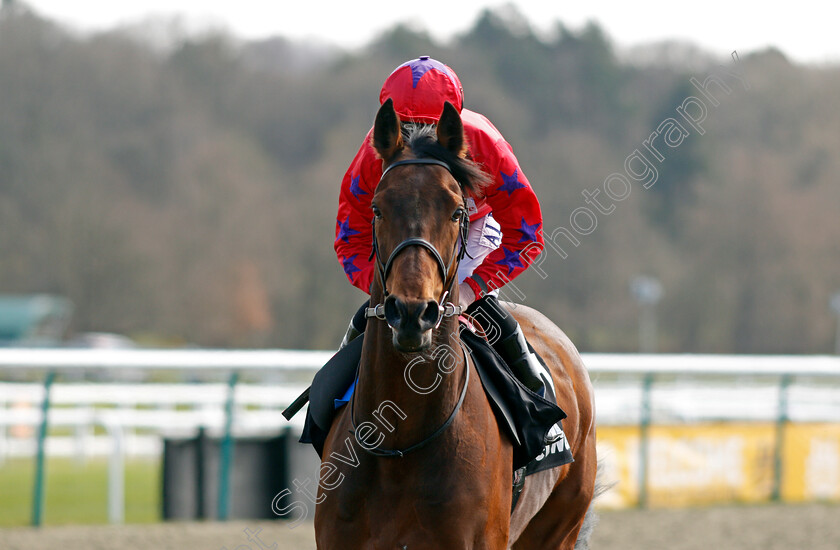 Australis-0002 
 AUSTRALIS (Jack Mitchell)
Lingfield 2 Apr 2021 - Pic Steven Cargill / Racingfotos.com