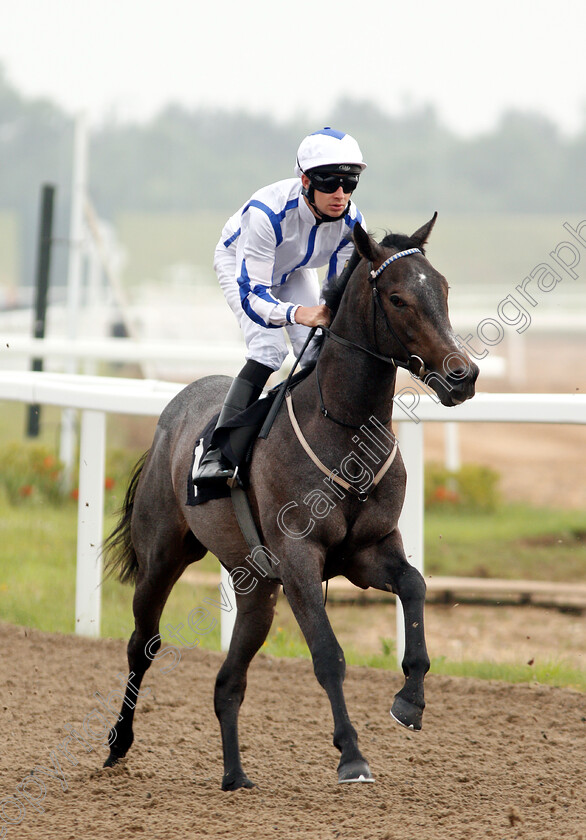 Buckingham-0001 
 BUCKINGHAM (Charles Bishop) winner of The £20 Free Bets At totesport.com Novice Auction Stakes
Chelmsford 31 May 2018 - Pic Steven Cargill / Racingfotos.com