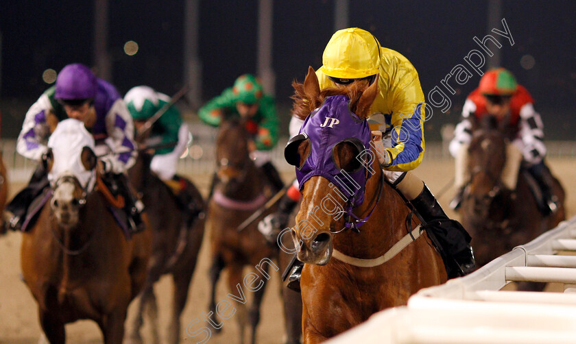 Dyagilev-0004 
 DYAGILEV (David Probert) wins The Book Tickets Online At chelmsfordcityracecourse.com Handicap
Chelmsford 13 Feb 2020 - Pic Steven Cargill / Racingfotos.com