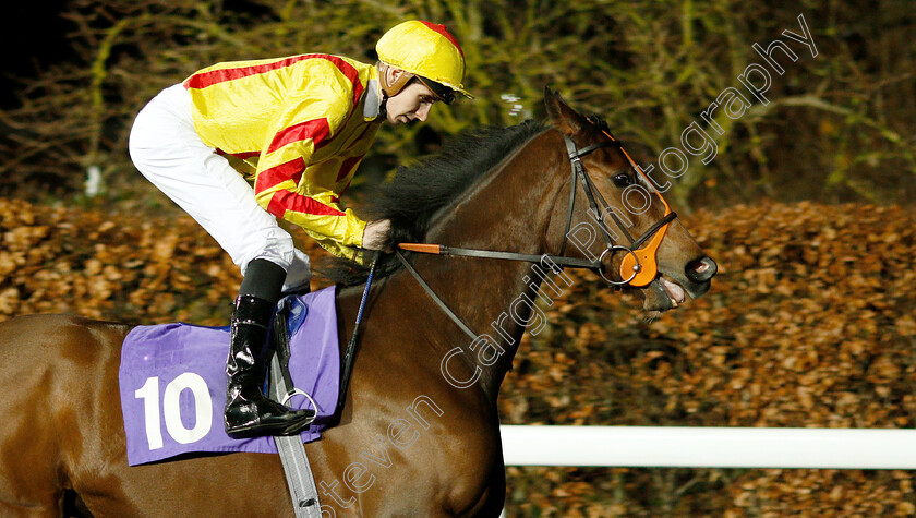 Meghan-Sparkle-0001 
 MEGHAN SPARKLE (Hector Crouch) 
Kempton 5 Dec 2018 - Pic Steven Cargill / Racingfotos.com