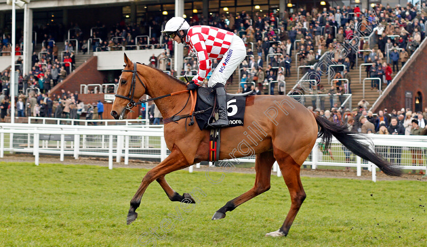 Springtown-Lake-0001 
 SPRINGTOWN LAKE (Tom O'Brien) Cheltenham 1 Jan 2018 - Pic Steven Cargill / Racingfotos.com