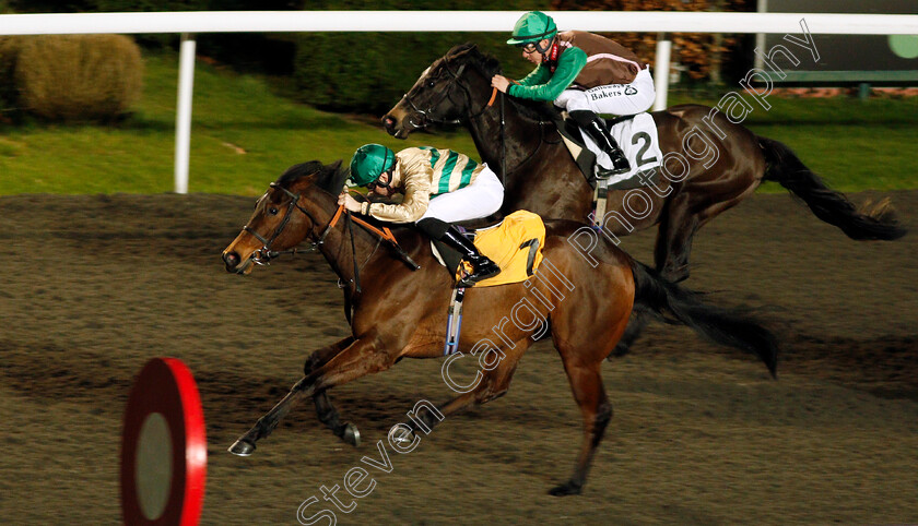 Inevitable-Outcome-0004 
 INEVITABLE OUTCOME (Callum Shepherd) wins The 32Red.com Handicap
Kempton 17 Feb 2020 - Pic Steven Cargill / Racingfotos.com