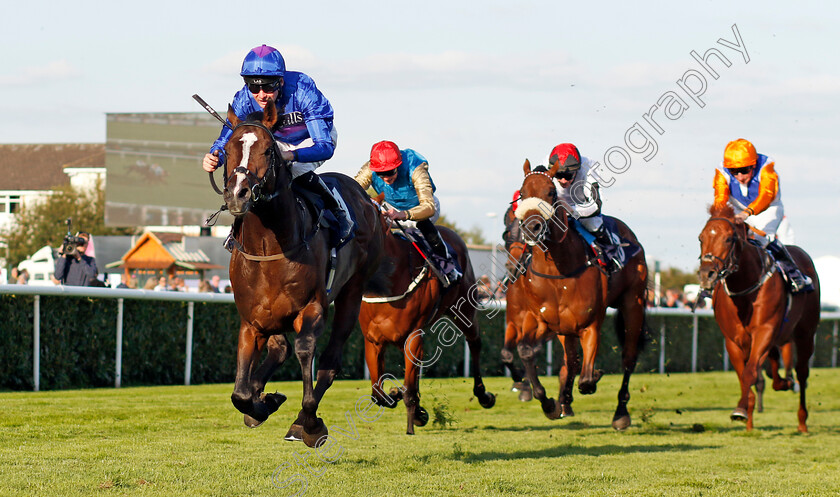 Shout-0003 
 SHOUT (Robert Havlin) wins The Believe Money Confined Nursery
Doncaster 13 Sep 2024 - Pic Steven Cargill / Racingfotos.com