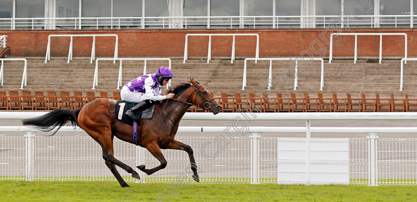 Lullaby-Moon-0004 
 LULLABY MOON (Rossa Ryan) wins The Ladbrokes Giving Extra Places Every Day EBF Fillies Novice Auction Stakes
Goodwood 29 Aug 2020 - Pic Steven Cargill / Racingfotos.com